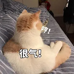 越想越气 猫咪表情包的搜索结果_百度图片搜索