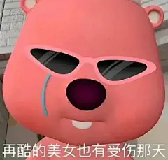 这两天什么表情包最火？Loopy小海狸表情包｜磨金石教育分享