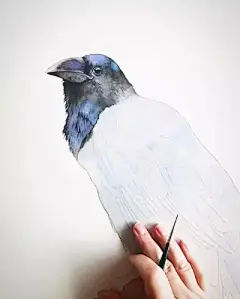 动物昆虫绘 - 高清图片，堆糖，美图壁纸兴趣社区