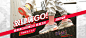 ASICSTIGER旗舰店 - 京东_海报 _急急如率令-B51866927B- -P2473382653P- _T2019527 #率叶插件，让花瓣网更好用_http://ly.jiuxihuan.net/?yqr=10205110# _海报啊采下来_T2019527