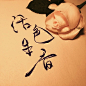 手写菊花体，真的好美 ！！ ​​​​