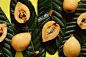 loquat : loquat