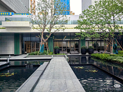 o萌萌o采集到水景