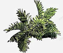 手绘园林植物高清素材 页面 页面网页 平面电商 创意素材 png素材