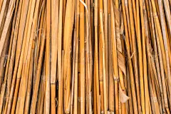 干的,背景,芦苇,褐色,干草,水平画幅,无人,古老的,夏天,草