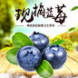 时蔬水果当季鲜果现采蓝莓草莓桑葚首图主图 —— 1设计素材网