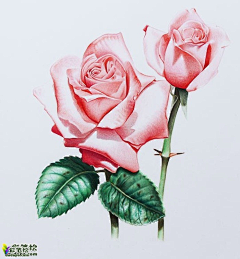Poetrying采集到铅笔画