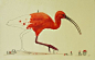 生动的插图：为动物着色的小人 | 墨西哥艺术家 Ricardo Solis