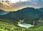 Long Jing tea garden landscape scenery view 免版税图像 - 84580499