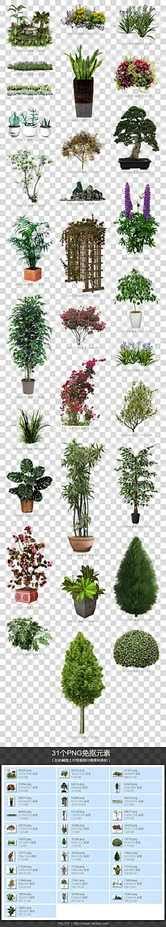 园林绿化植物盆栽素材图片