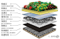 屋顶花园绿化设计浅析第19张图片