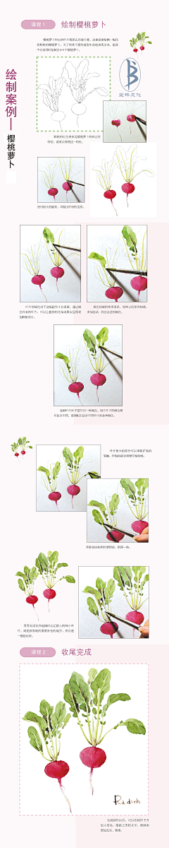 画画的花未佒采集到水彩