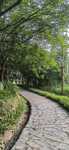 00oollLL~采集到古道，山路