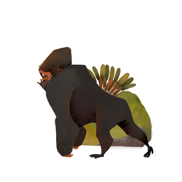 The Animal Books on ...