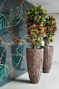 Exclusive-Gefaesse Pine bark vase