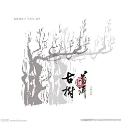 古树普洱茶