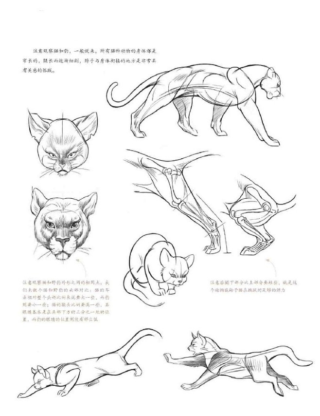 #原画人福利社# 福利又来了，送《完美手...