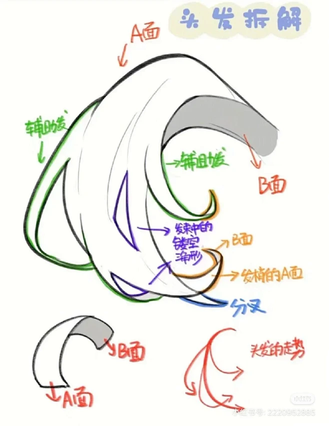 头发发尾画法教程来啦！-花瓣网