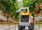 Antobots - Smart Agriculture, Better Living : Antobots - Flexible, efficient, economic, we will offer our robots through a Farming as a Service (FaaS) model. So you can take advantage of robotic farming without any of the risks.