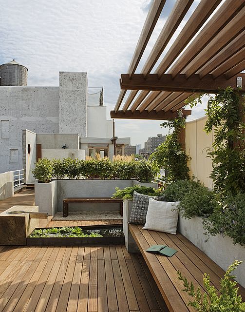 rooftop city garden