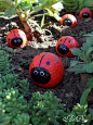 Golf ball Ladybugs - DIY Front Yard Landscaping Design Ideas - WEENII.COM | Life's 1 good big dream