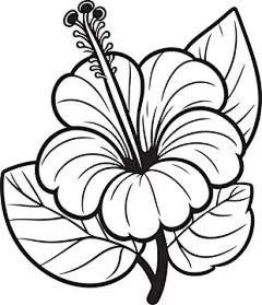 图源免费EPS |芙蓉花的手绘草图 - 简洁线条艺术插画
