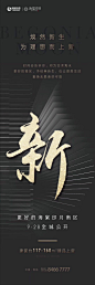地产 价值点 新品