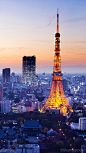 一座塔一座城～在天空树竣工之前，东京塔一直是东京城市的象征。在这座比巴黎埃菲尔铁塔还要高的铁塔，以巴黎埃菲尔铁塔为范本而建造，红白相间的醒目颜色是因为航空交通管制规定以利辨识。——东京塔#日本