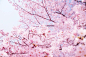 f7a57322eb2a4843bbe16fb6dbf2e4b8_R_900_600