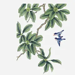 国画高清素材 兰花 国画花组合 国画花组合模板下载 国画花组合素材下载 源文件库 牡丹 竹子 荷花 免抠png 设计图片 免费下载