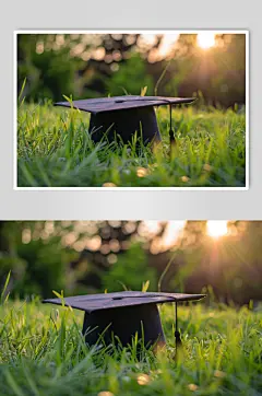 AI数字艺术毕业证图片