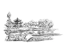 2018年山东省/济南市/电脑手绘