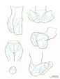 人体腰部、胯部、臀部练习，很棒的绘画参考教材！