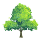@冒险家的旅程か★
png透明背景素材 大树png 绿色植物树叶 海报合成植物素材