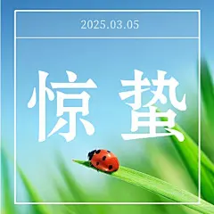 惊蛰问候祝福大字创意公众号次图