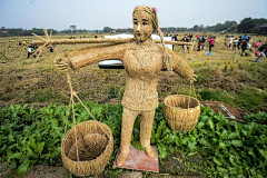 陳z小姐采集到美丽乡村、农业景观