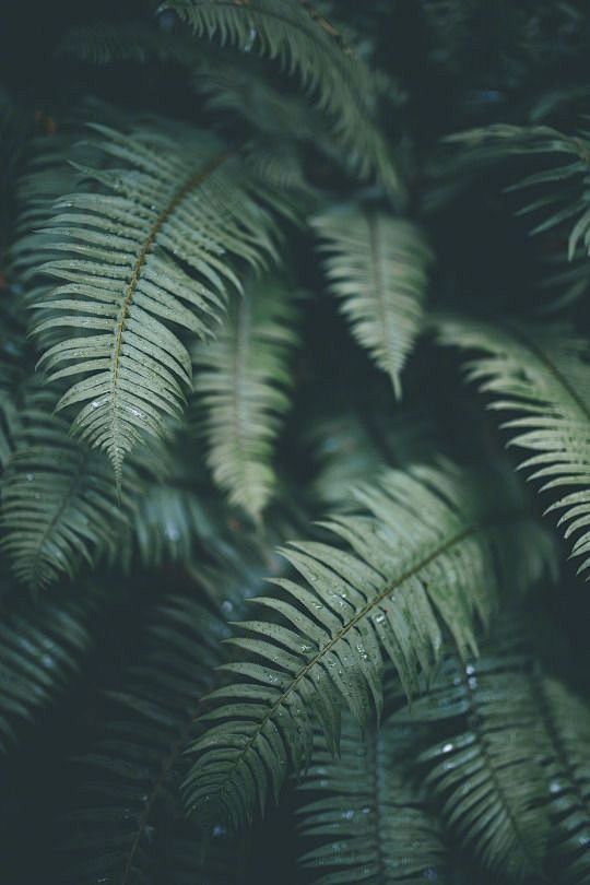 早安~新一周~ ​​​​