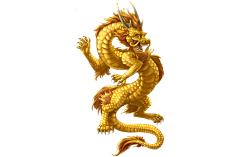 大菜设计采集到小龙