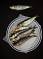 herring | Food & Drink