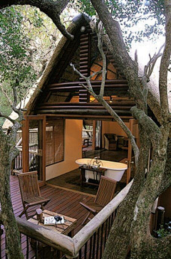 版式设计网采集到树上的房子