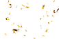 gold_confetti_1
