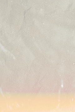 T2