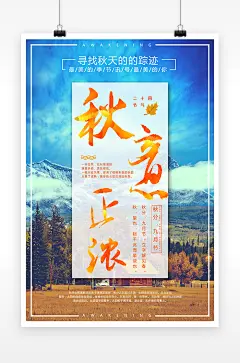 简约寻找秋天的踪迹秋分海报