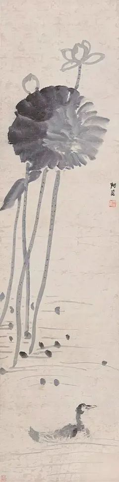 齐白石笔下荷花、蜻蜓！漂亮至极！