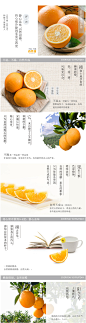 自然甜赣南脐橙,10斤装99元【品牌 价格 产地 点评 图片】_天天果园官网