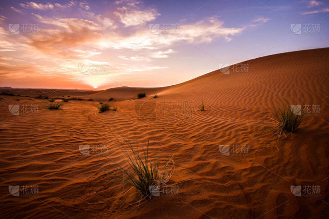 阿拉伯联合酋长国,迪拜,沙漠,图像,波斯...