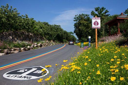 道路特色符号及植物色彩