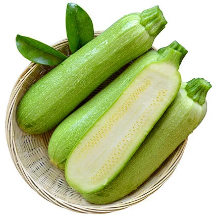 云南西葫芦现摘新鲜白瓜当季新鲜蔬菜茭瓜小瓜三月瓜番瓜5斤包邮-tmall.com天猫-花瓣网