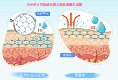 古月胡------采集到肌肤组织