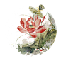 94b0a77cly1h2962dimymj20nm0nmte4